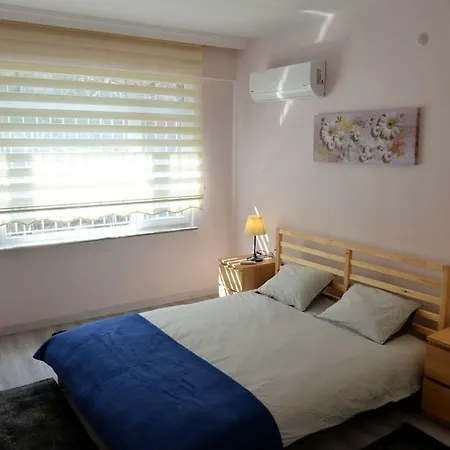 House *